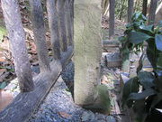 CCꃉC_[̍X؏Y̓̕eʐ^7