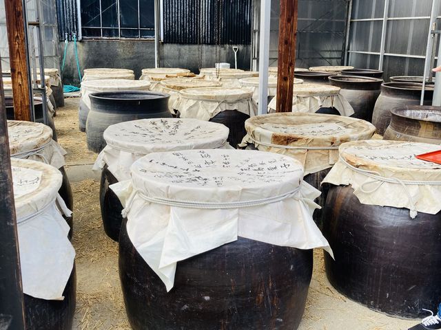 ���̗l�q�@_�|�Â���300�N �����|