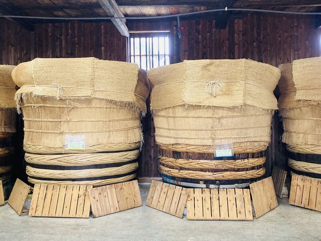 ���̗l�q�A_�|�Â���300�N �����|