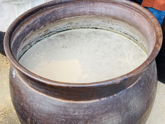 ���̗l�q�B_�|�Â���300�N �����|