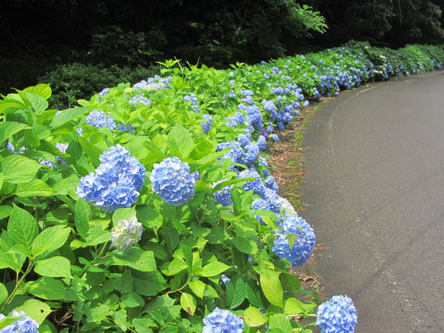 �n�̐F������_�Øa�쒬�A�W�T�C���[�h