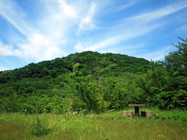 �C�Ɣ��Α��̌��i_���R����