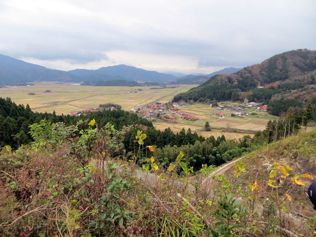 ���ʃ����Y�ŎB�e�����ʐ^_�D���R