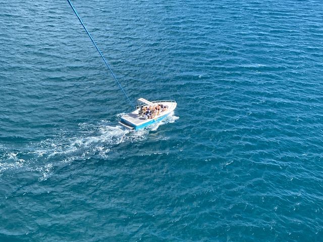 �i�F���ō��ł�����_�}�����A�C�����h