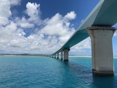 k-paul̃xCN[YE{Ó@uւ̓eʐ^1