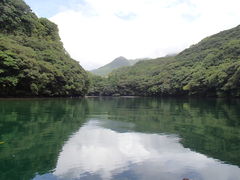 kazuaquastyleւ̓eʐ^1