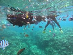 ߂񂳂̃}Nu Gigiւ̓eʐ^1