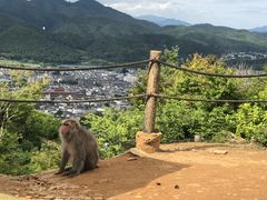 eCeC̗RL[p[N킽܂ւ̓eʐ^1