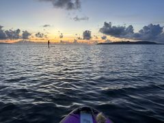 ���񂿂���̐Ί_���V���m�[�P���c�A�[�ւ̓��e�ʐ^1