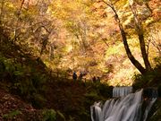 nakaya̔nChEFC̓eʐ^1