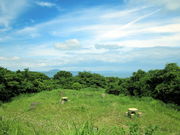 �C�C�ꃉ�C�_�[����̑��R�����̓��e�ʐ^5