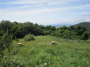 �C�C�ꃉ�C�_�[����̑��R�����̓��e�ʐ^6