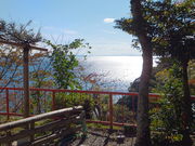 ڂ炳̒|󌵎Od̓eʐ^6