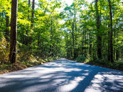 nakaya̔nChEFC̓eʐ^1