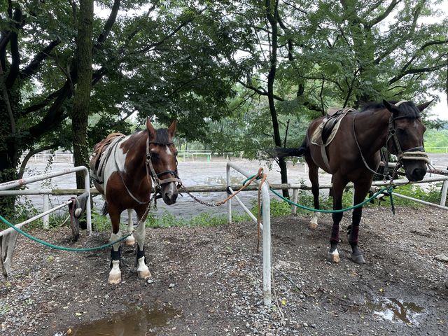 �Ƃ��Ă�����������Ō����q�B�ł����I�I_�ԏ��n�N���u