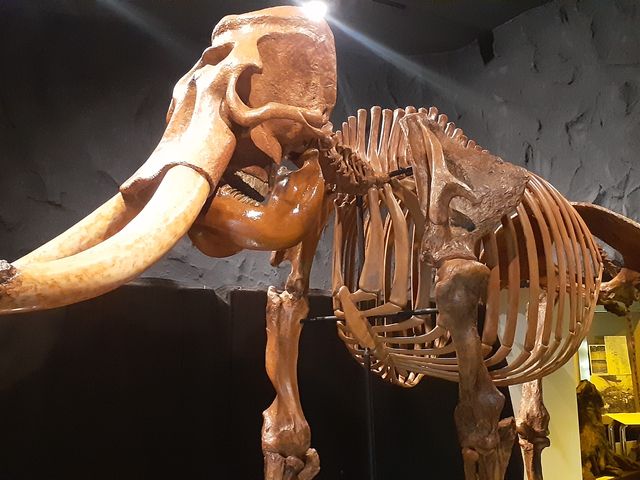 �i�E�}���]�E�����o�}��_���k�����j����������