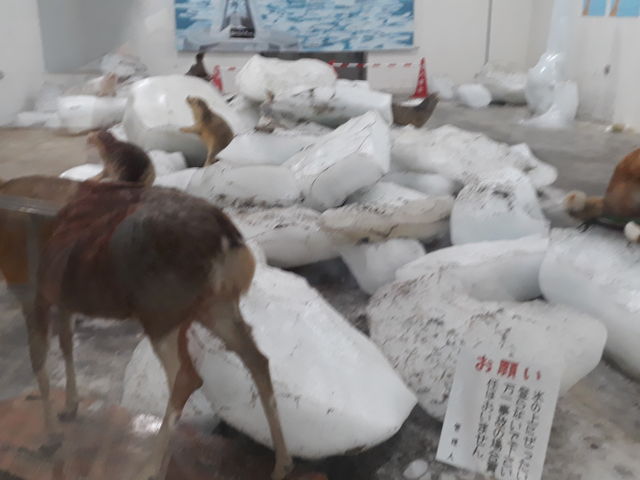 �}�C�i�X41�x�̒ቷ�̌�_�k�C���A�C�X�p�r���I��