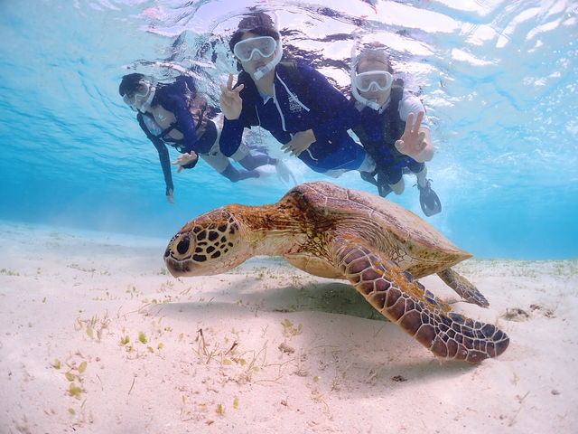 �C�̐F���L���C�ŊC�K���Ɖ��x���B���Ē����܂���
_CHAMP TOUR �{�Ó�