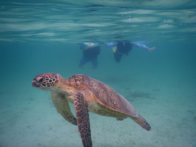 �E�~�K���Ɖj���܂����I_SEA ENJOY