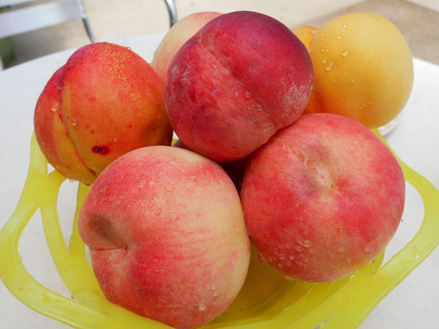 3���
����
�l�N�^����
������_�׉ʉ�