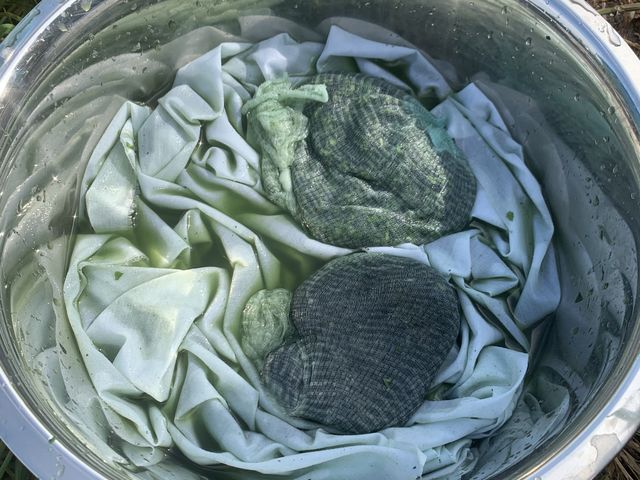 ���t����_�����q����̂₳����