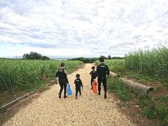 mÃ_Cu (MalDive)ւ̓eʐ^2