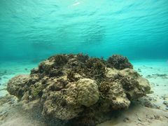 marine assist DEMI̎ʐ^1