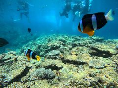 RẼ}Nu Gigiւ̓eʐ^1