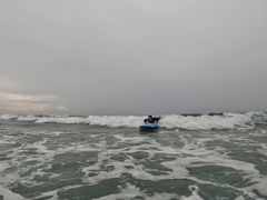 ꂢȂ̉nCrT[tBSUPւ̓eʐ^1