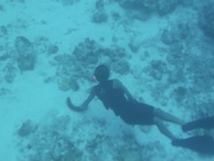 コ̊ЃZAu[ւ̓eʐ^2