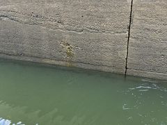 ȂȂ̕x␅ドCւ̓eʐ^1