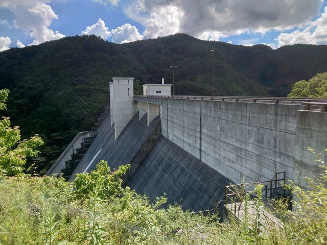 petshop����̎O����_���̓��e�ʐ^1