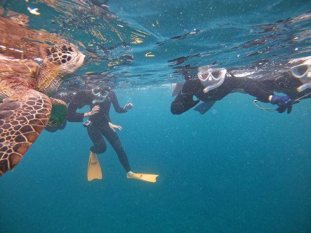 �E�~�K���ɉ�܂����I_���S�Ґ��}�����T�[�r�X�T���t�B�b�V���Ί_��