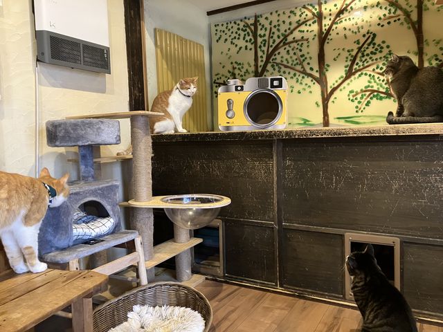 �ɂ�߂������āA����ꍇ���p���ԋ߂Ō���܂���_���났�Ö��Ɓ@�܂ߔL