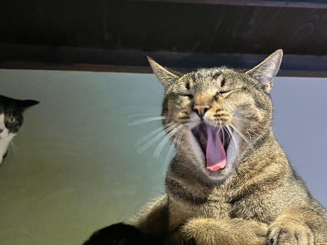 ���킢��������_���났�Ö��Ɓ@�܂ߔL