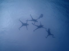 т̐Ί_}T[rX߂̉Ԃւ̓eʐ^1