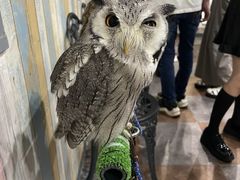 Ȃ̂ρ[@tNEJtFr܂ւ̓eʐ^1