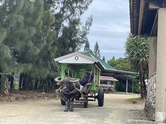 �т���̃e�B�_�J���J���ւ̓��e�ʐ^2