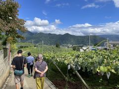 mano̍b㉮_ւ̓eʐ^2