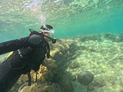 ׂ̂̐̓AJiT_CrOւ̓eʐ^1