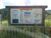 petshop����̎O����_���̓��e�ʐ^1