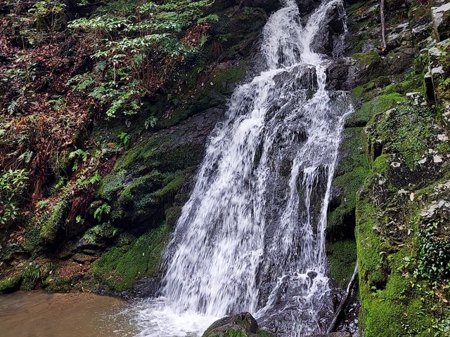 ����̃x���`��2�ӏ��V�����Ȃ��Ă܂���_�ےË�