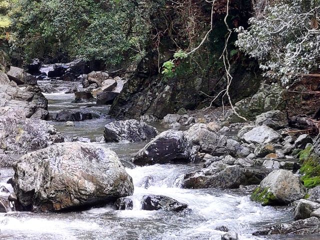 �ےË��@����₩��㗬������_�ےË�