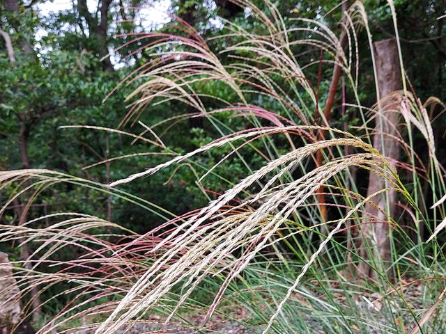 ���������s�J�s�J_�ےË�