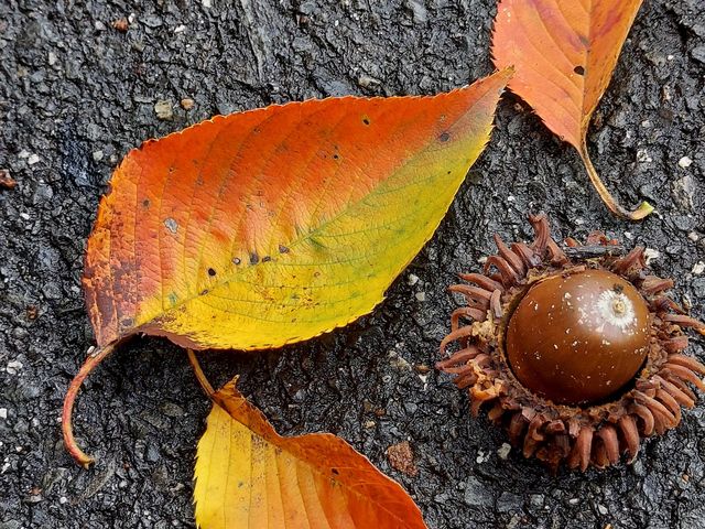 �ےË��ɂ͓��A�艷�������܂�_�ےË�