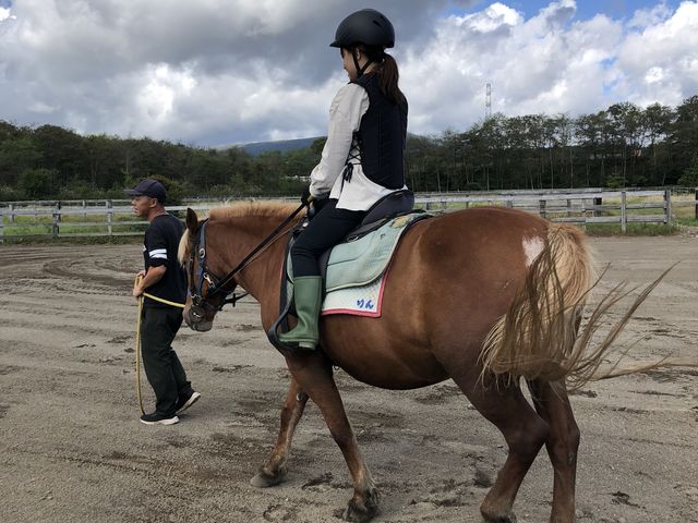 ���܂����I_�o�ʃz�[�X�p�[�N�V�x