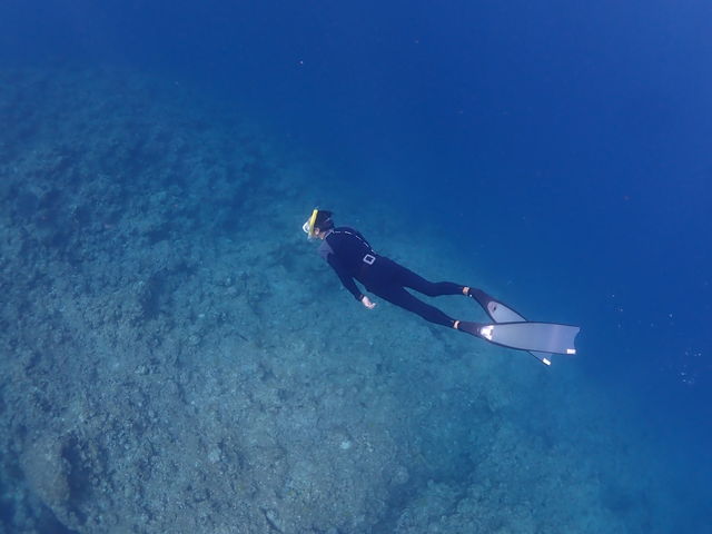 �͂𔲂��Ă������Ɓi�͂𔲂��ƕs�v�c�Ƒ��������܂��j�B
_FAUSTO�Ί_��