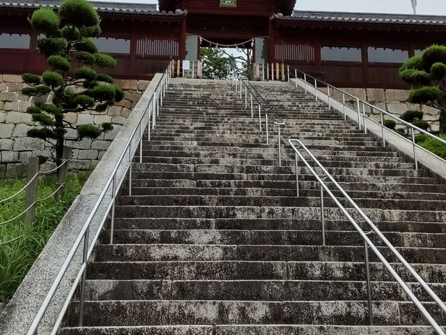 Îᏼs䂩̐UPY񂾑qVCm̋`铌Ƌ{B_LƋ{