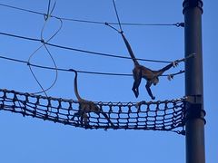 ł[܂܂݂̂˓ւ̓eʐ^1