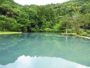 CCꃉC_[̔̒r̓eʐ^1